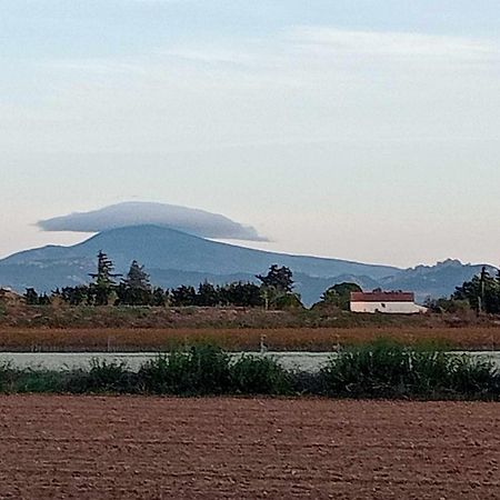 Chambre D'Hotes Les Garrigues Piolenc Eksteriør bilde