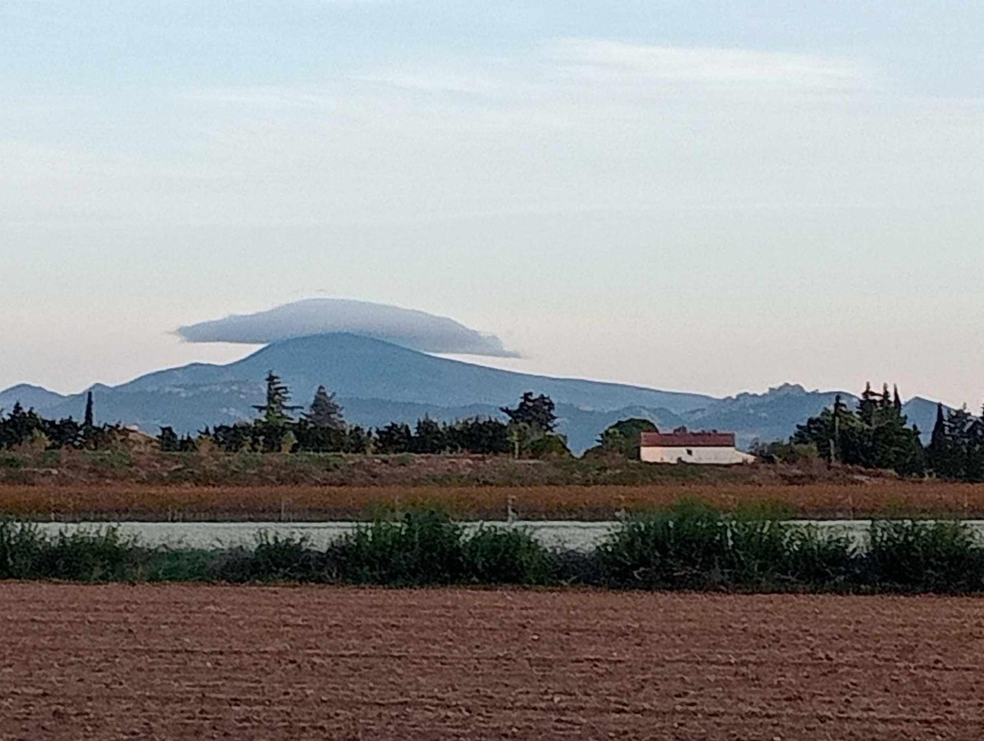 Chambre D'Hotes Les Garrigues Piolenc Eksteriør bilde
